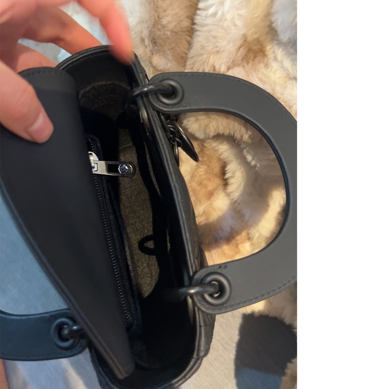 Fit For Lady Dio R Bag Organiz - Luxury Bags Dior 리뷰 및 가격