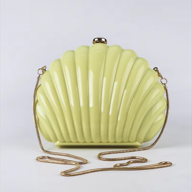 Lady Mini Shell Bag Acrylic Hi - Luxury Bags Yellow 리뷰 및 가격