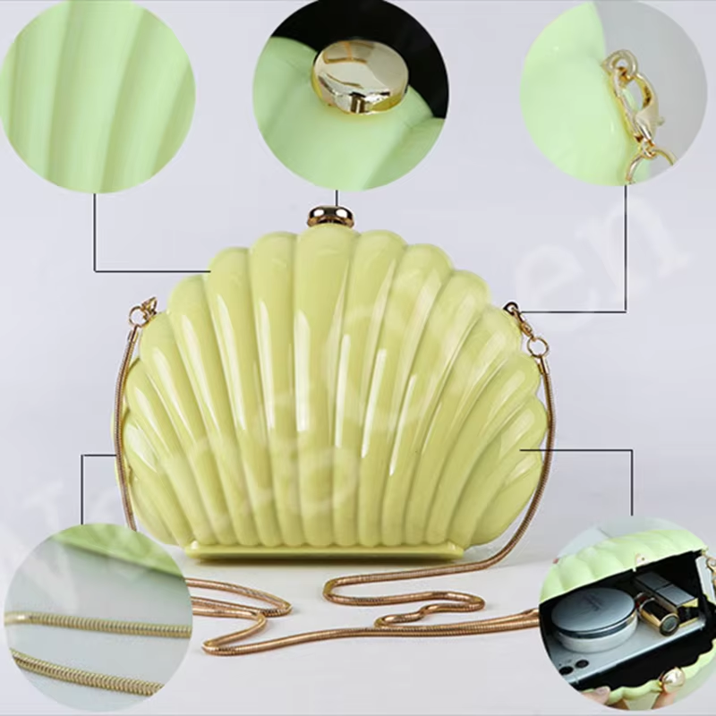Lady Mini Shell Bag Acrylic Hi - Luxury Bags Yellow 리뷰 및 가격