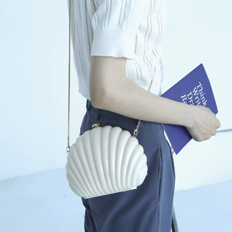 Lady Mini Shell Bag Acrylic Hi - Luxury Bags Yellow 리뷰 및 가격