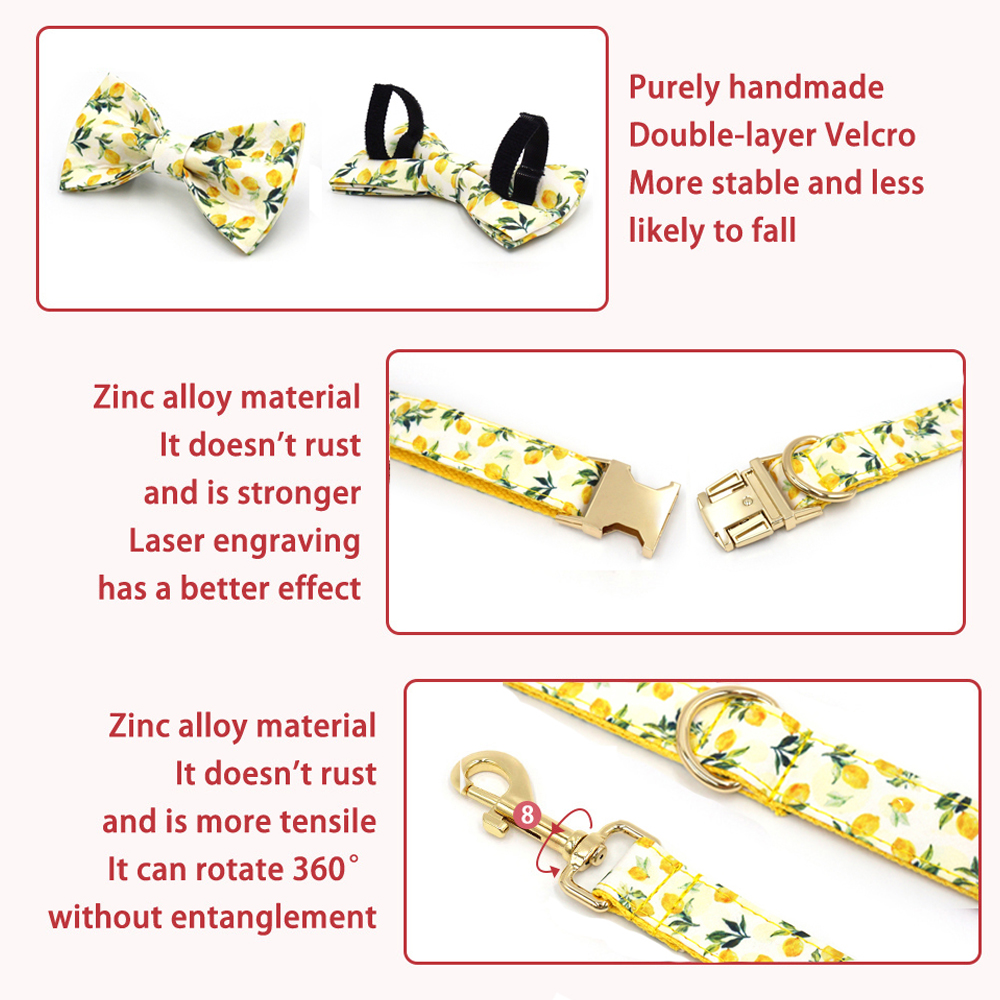 Personalized Pet Collar for Ca - Luxury Bags Medium Size 리뷰 및 가격